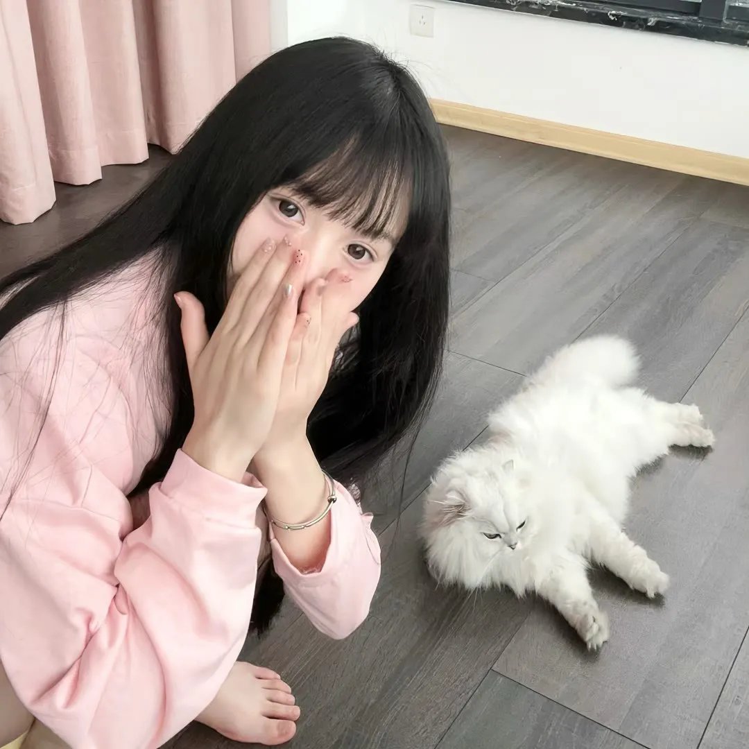 狮子军龙虎鬪